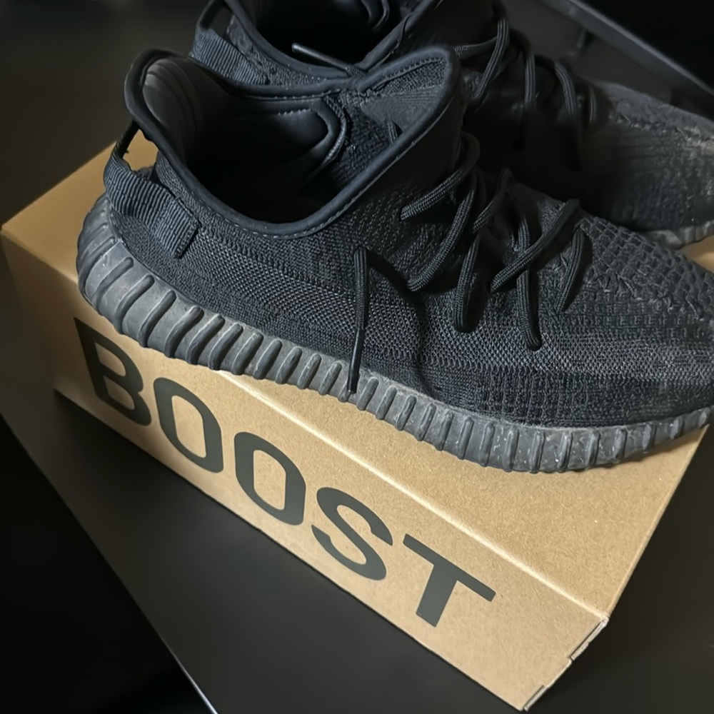 Adidas Yeezy 350